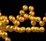 Aggregate of gold nanoparticles
