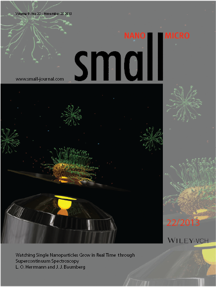 Our work on the cover of Small